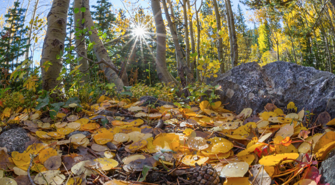 Change Your Perspective