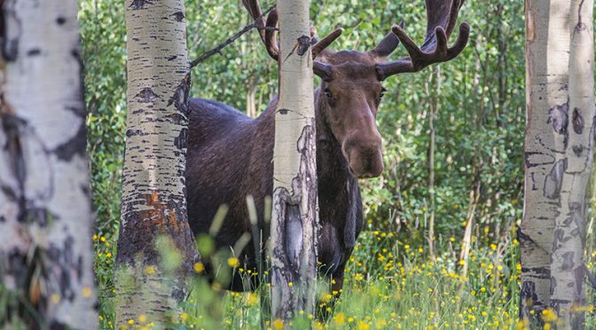Rocky Mountain Photography Workshop