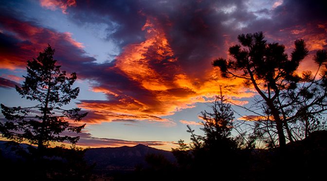 Want Me to Add Another Photography 101 Daytime Class Soon?  Tell me now!