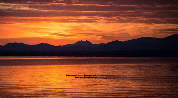 Want to Improve Your Photography?