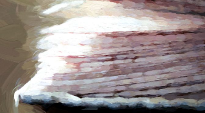 Your Book – Did You Know You Are Writing a Book?