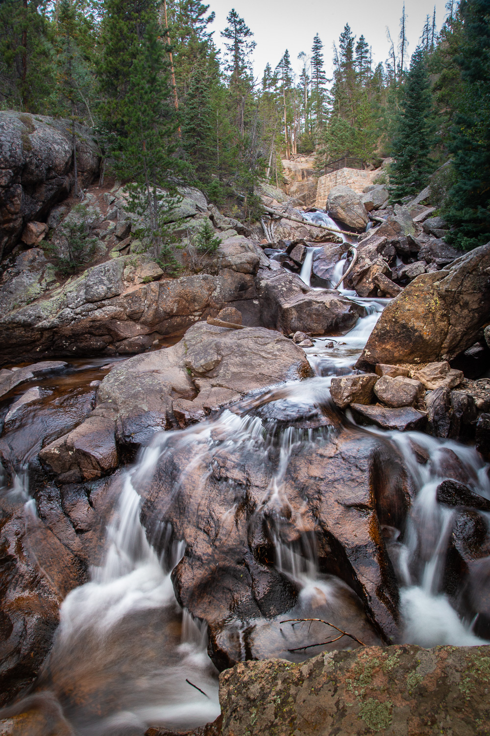 JOIN US in 2020 on our Rocky Mountain Photography