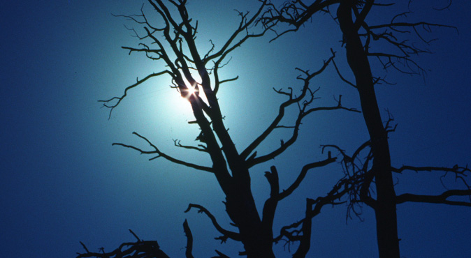 My Hope for You in 2020