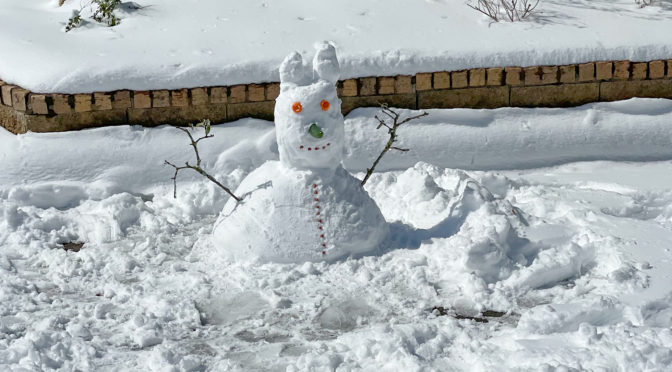 moving beyond our week in the snow