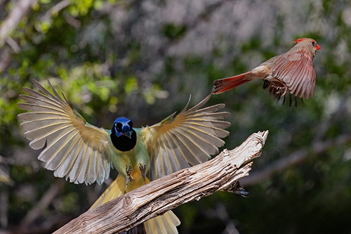 Mastering Your Camera's Manual Exposure Mode